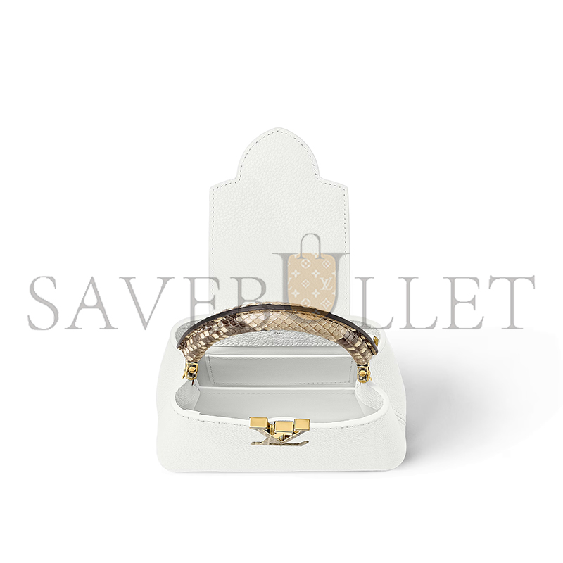 LOUIS VUITTON CAPUCINES MINI N98477 (21*14*8cm)
